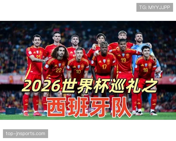 世界杯H组球队世界杯经验对比